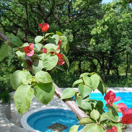 Poolside Apartments Miljan I Ranko ヘルツェグ・ノヴィ エクステリア 写真