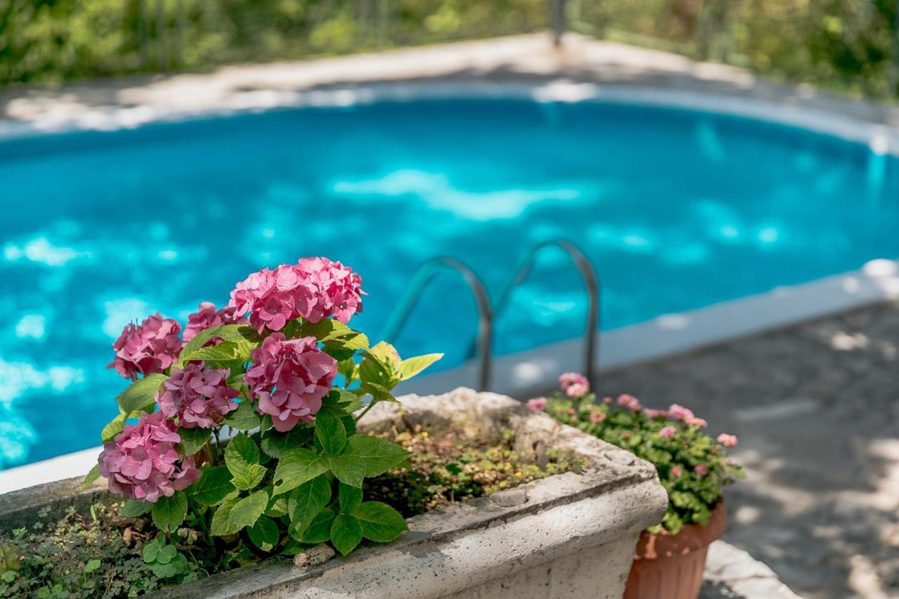 Poolside Apartments Miljan I Ranko ヘルツェグ・ノヴィ エクステリア 写真