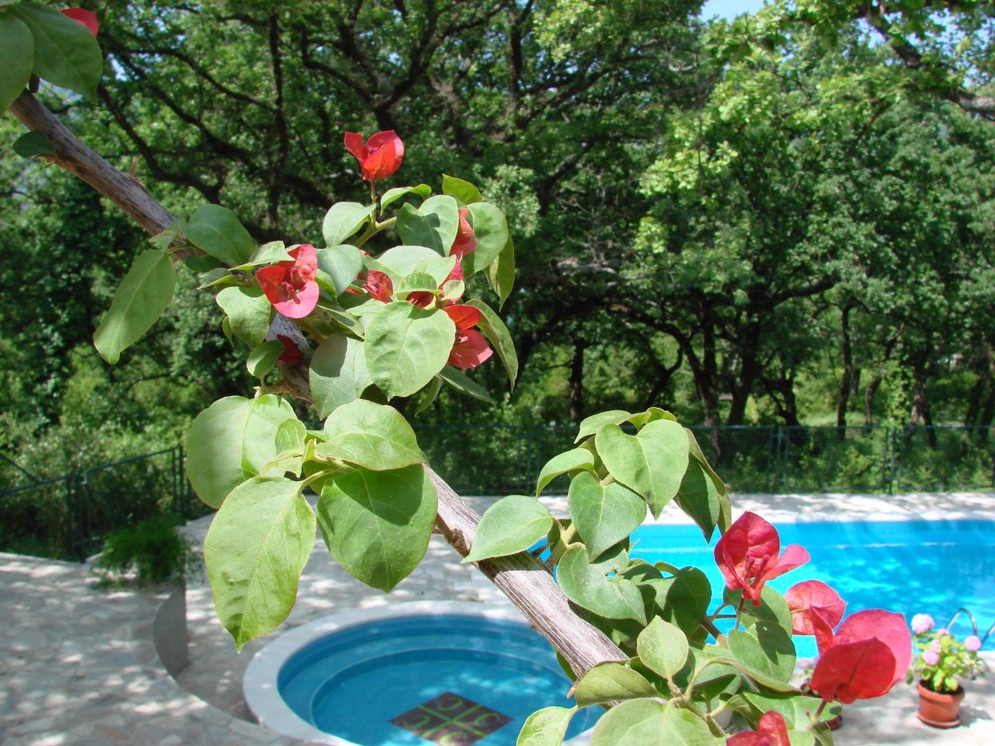 Poolside Apartments Miljan I Ranko ヘルツェグ・ノヴィ エクステリア 写真