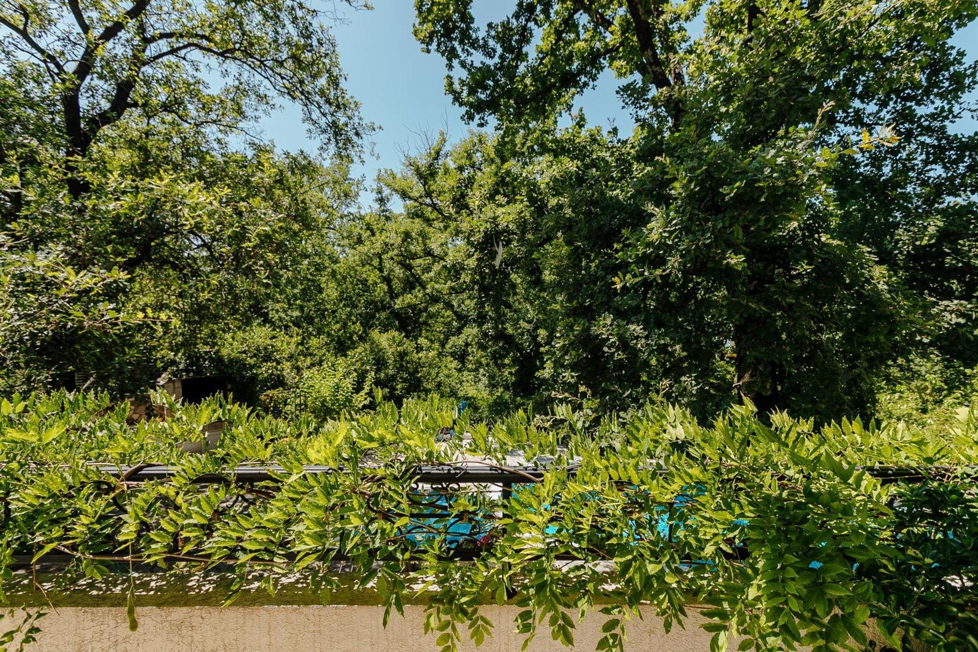 Poolside Apartments Miljan I Ranko ヘルツェグ・ノヴィ 部屋 写真